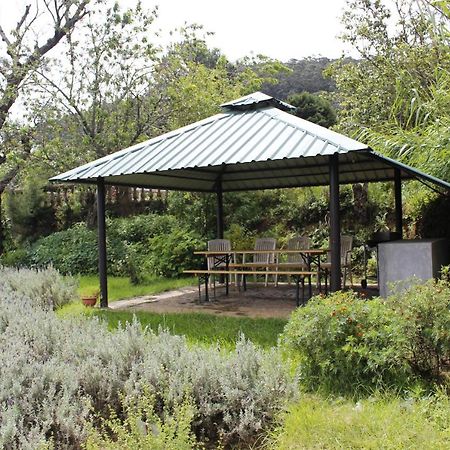 Senani Colonial Holiday Bungalow Нувара Елия Екстериор снимка